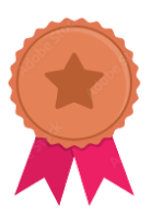 Bronze Level